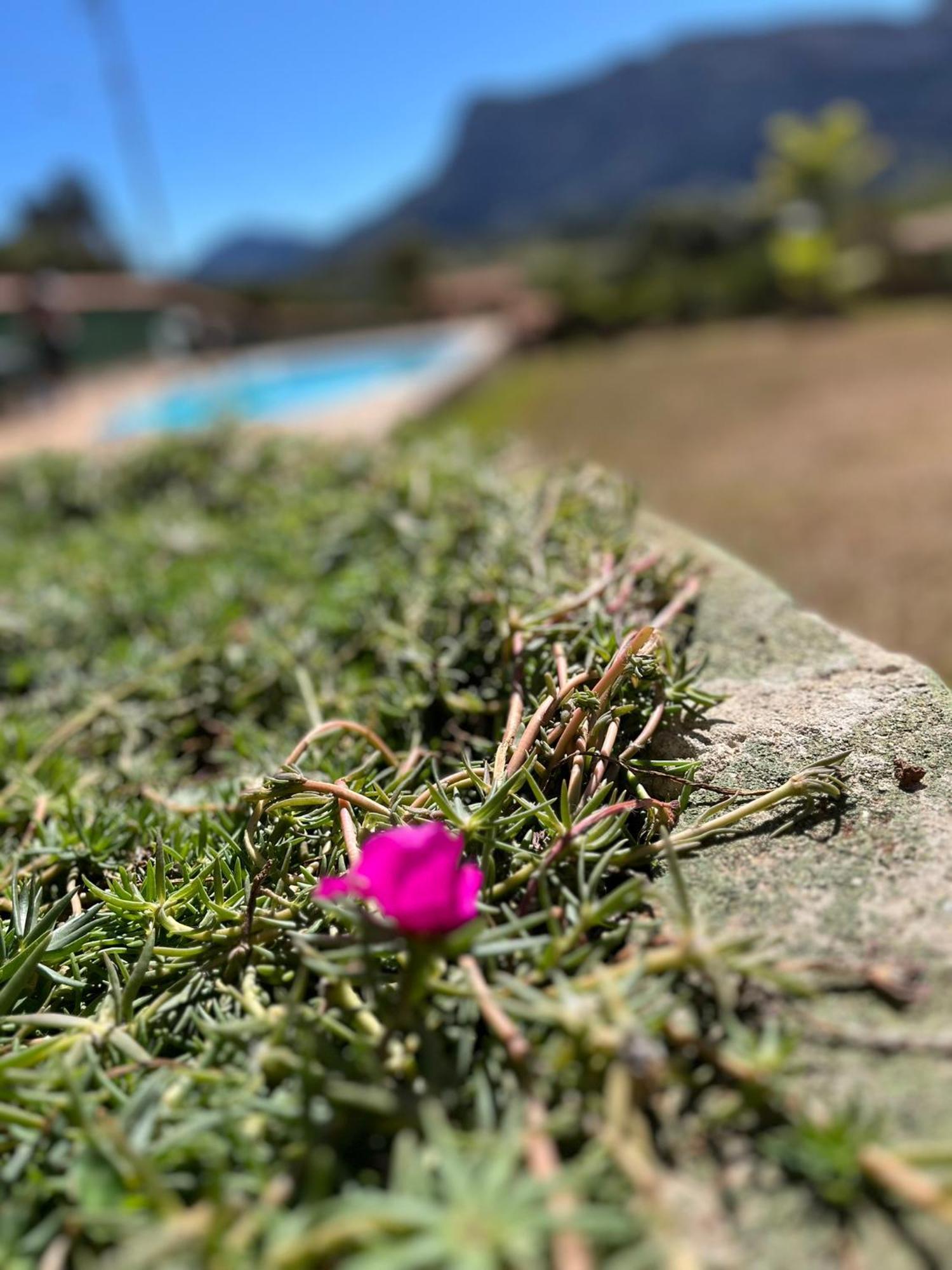 Bela Vista Do Ismail - Lapinha Da Serra Inn